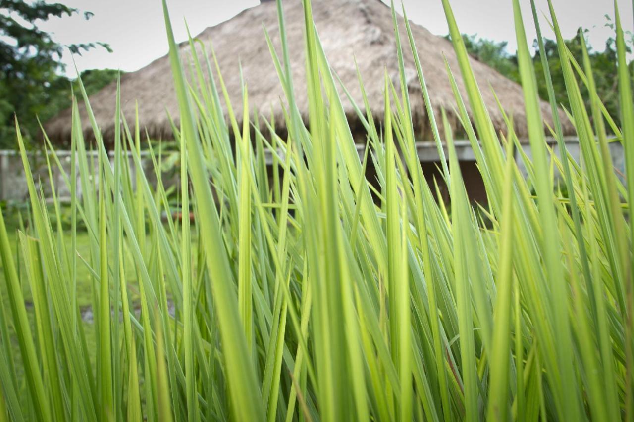 Calvary Home Mae Rim Exteriör bild